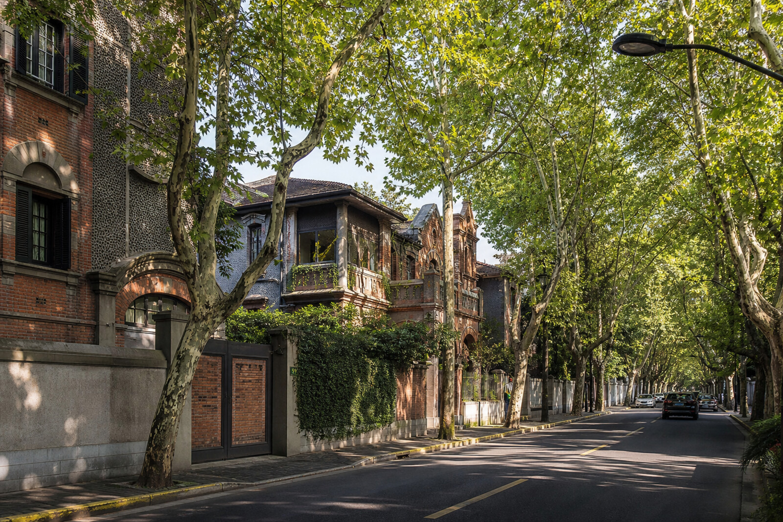 Soft-toned illustration of a shady Shanghai street with European villas and plane trees