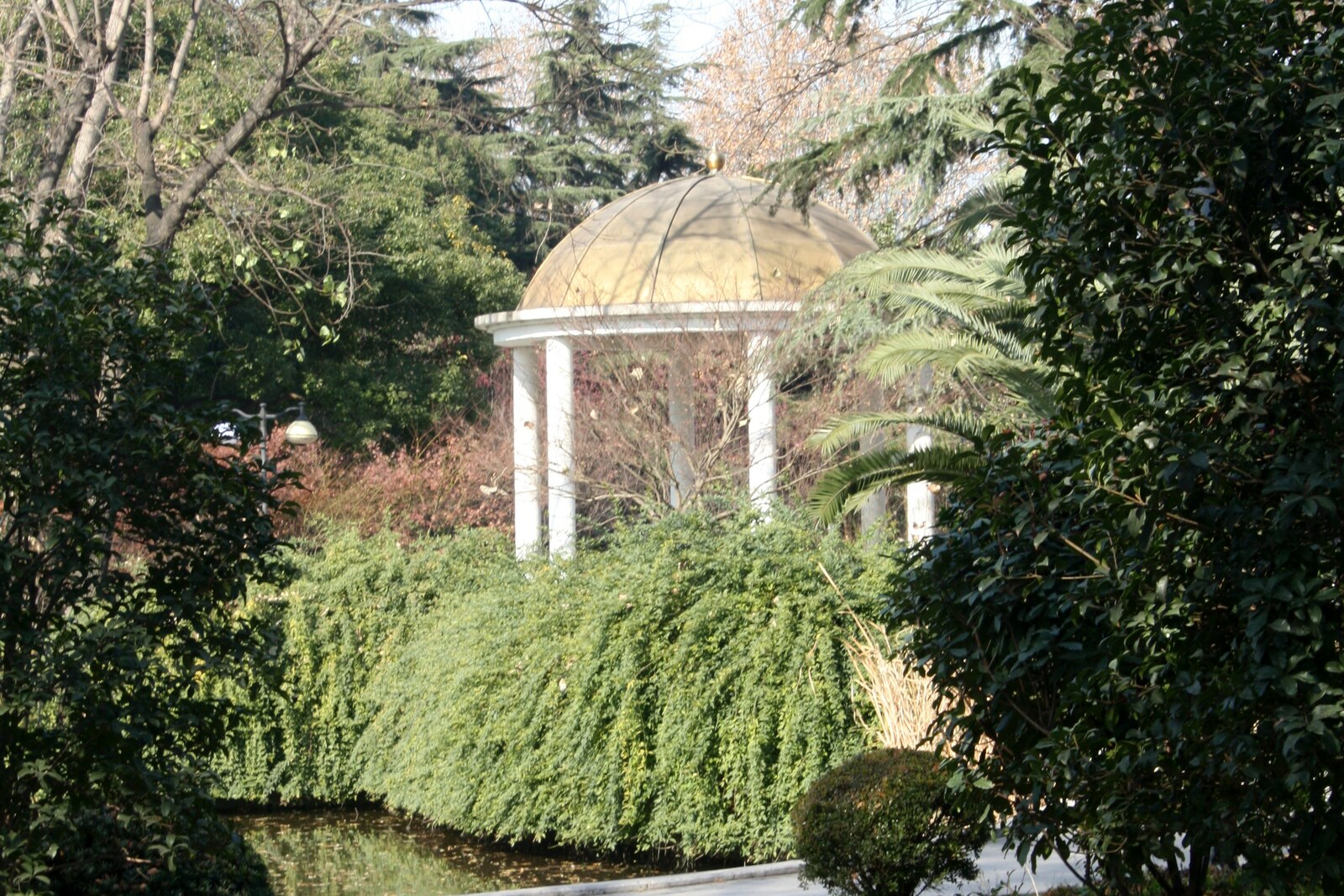 A green park with a pond and a walking path