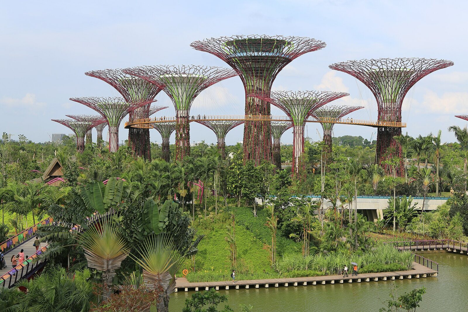 Supertree Grove at Gardens by the Bay.