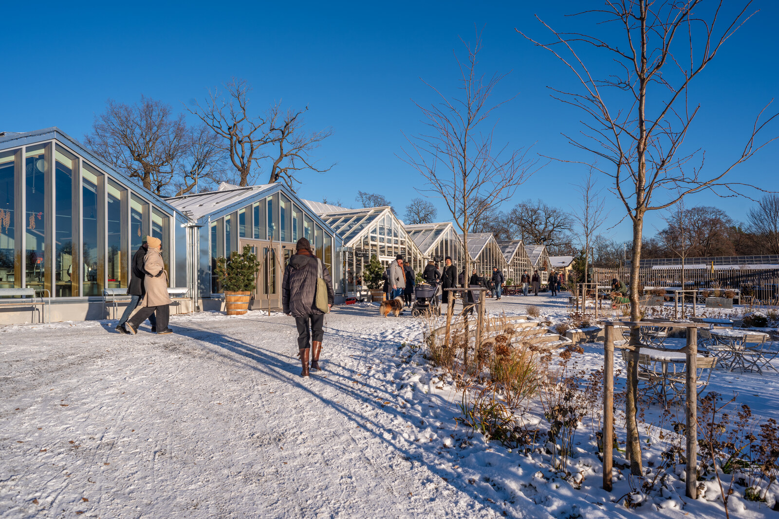 A walking path with greenhouses and shrubs in the Rosendals Trädgård garden