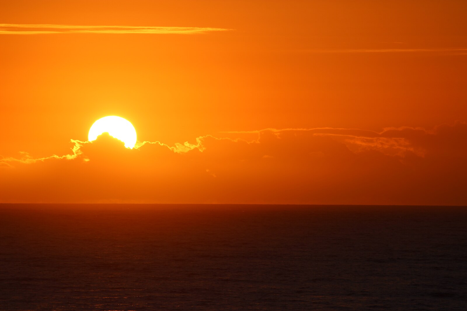 Sunrise over Tamarama Beach: pink sky, cliffs, and a small bay