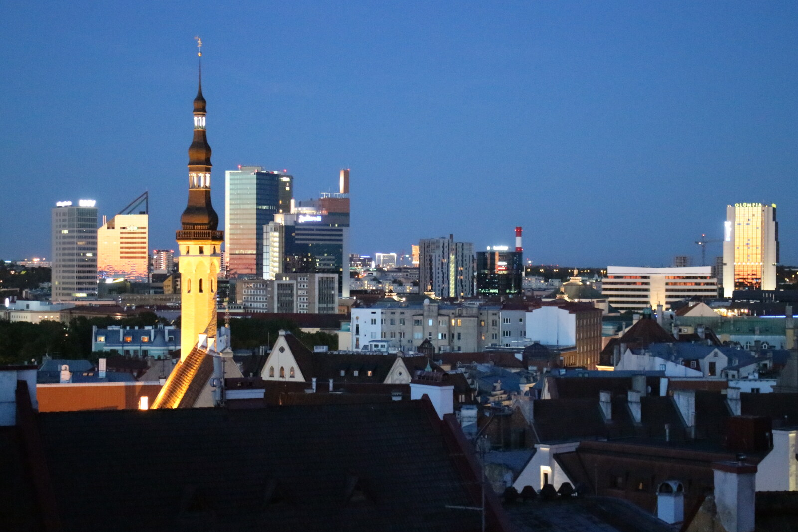 Kohtuotsa Viewing Platform in Tallinn