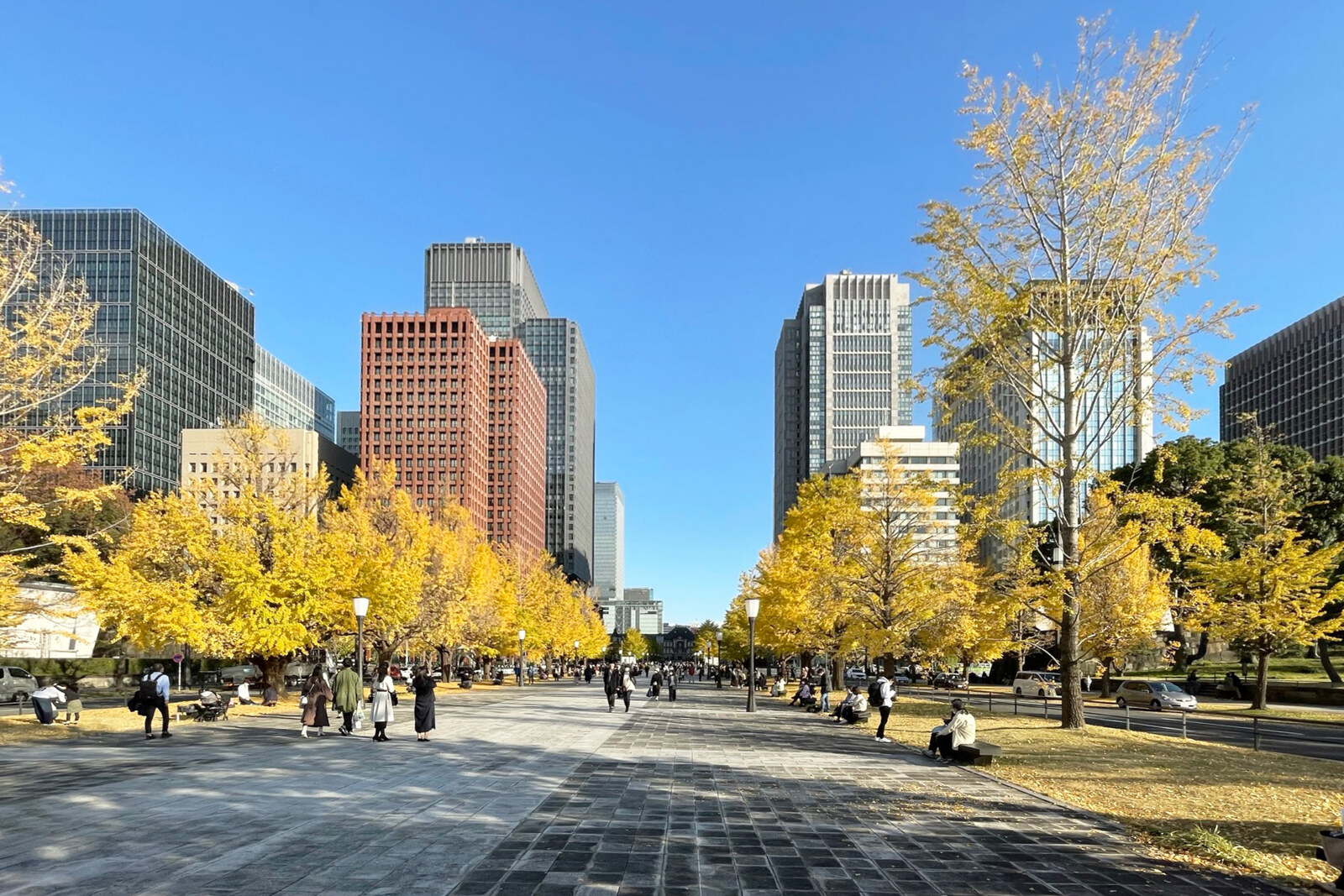 A wide avenue with a double row of trees leading toward a building in the distance