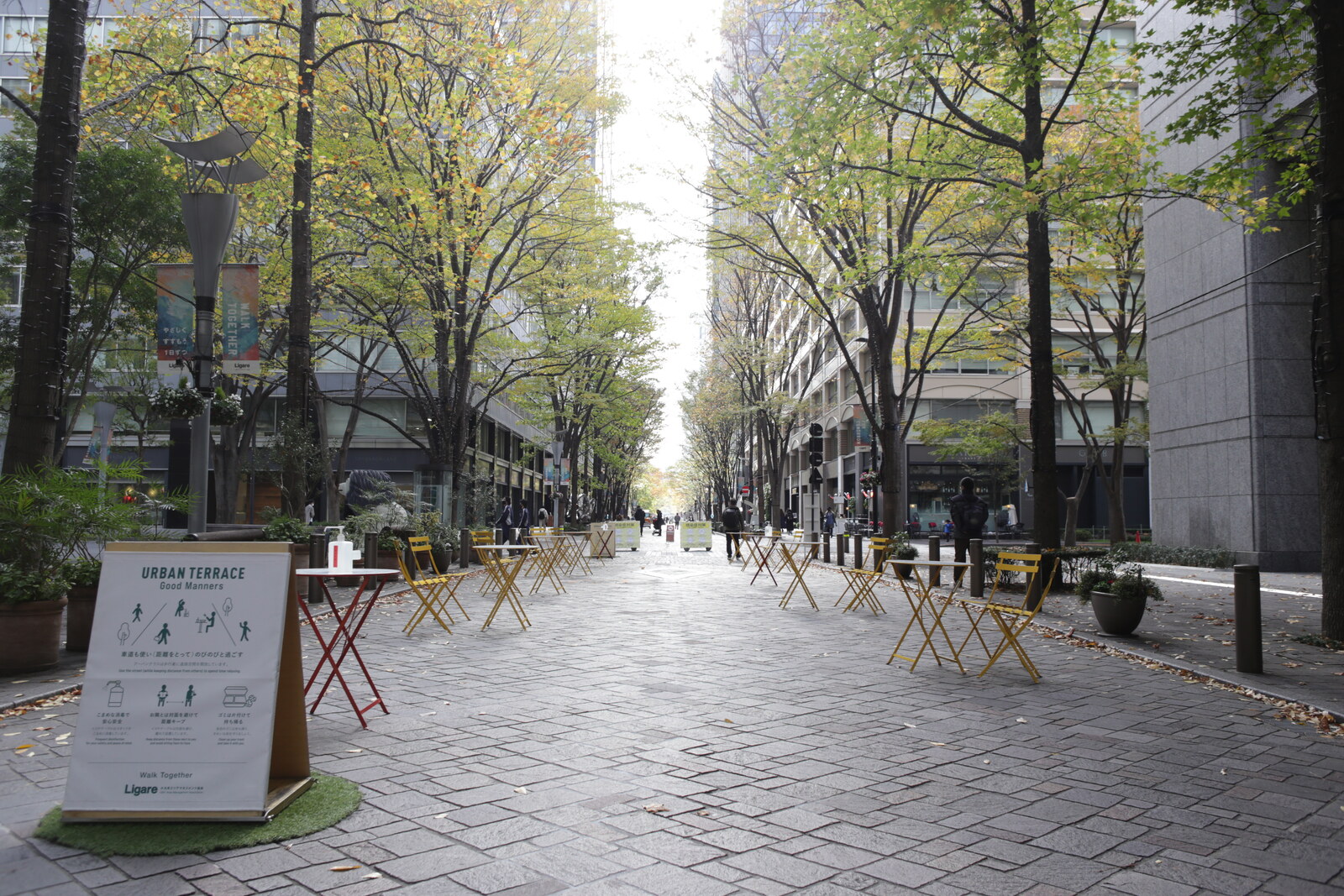 Trees along a broad pedestrian street with shops and sculptures