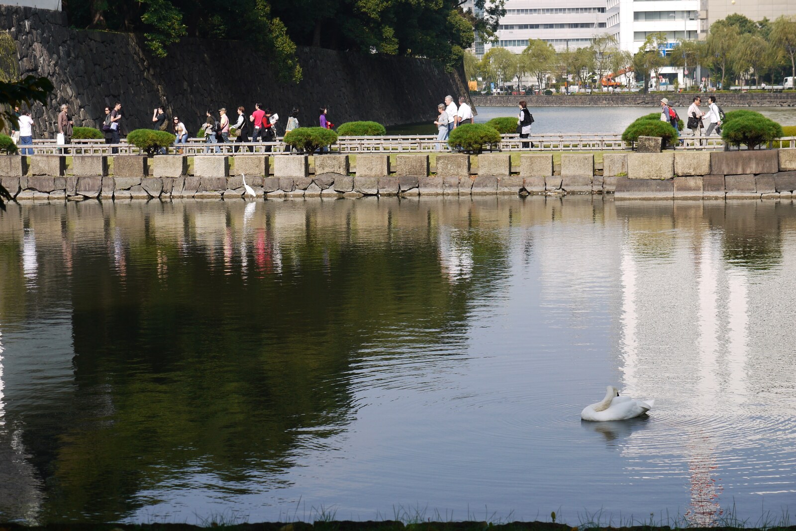 An old gate and a moat with a swan swimming in front of them
