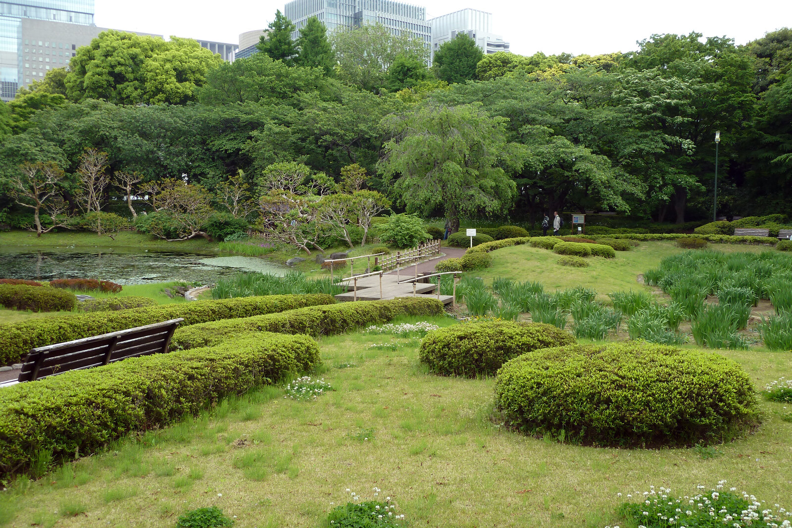 The pond and greenery of Ninomaru Garden in the East Gardens of the Imperial Palace.