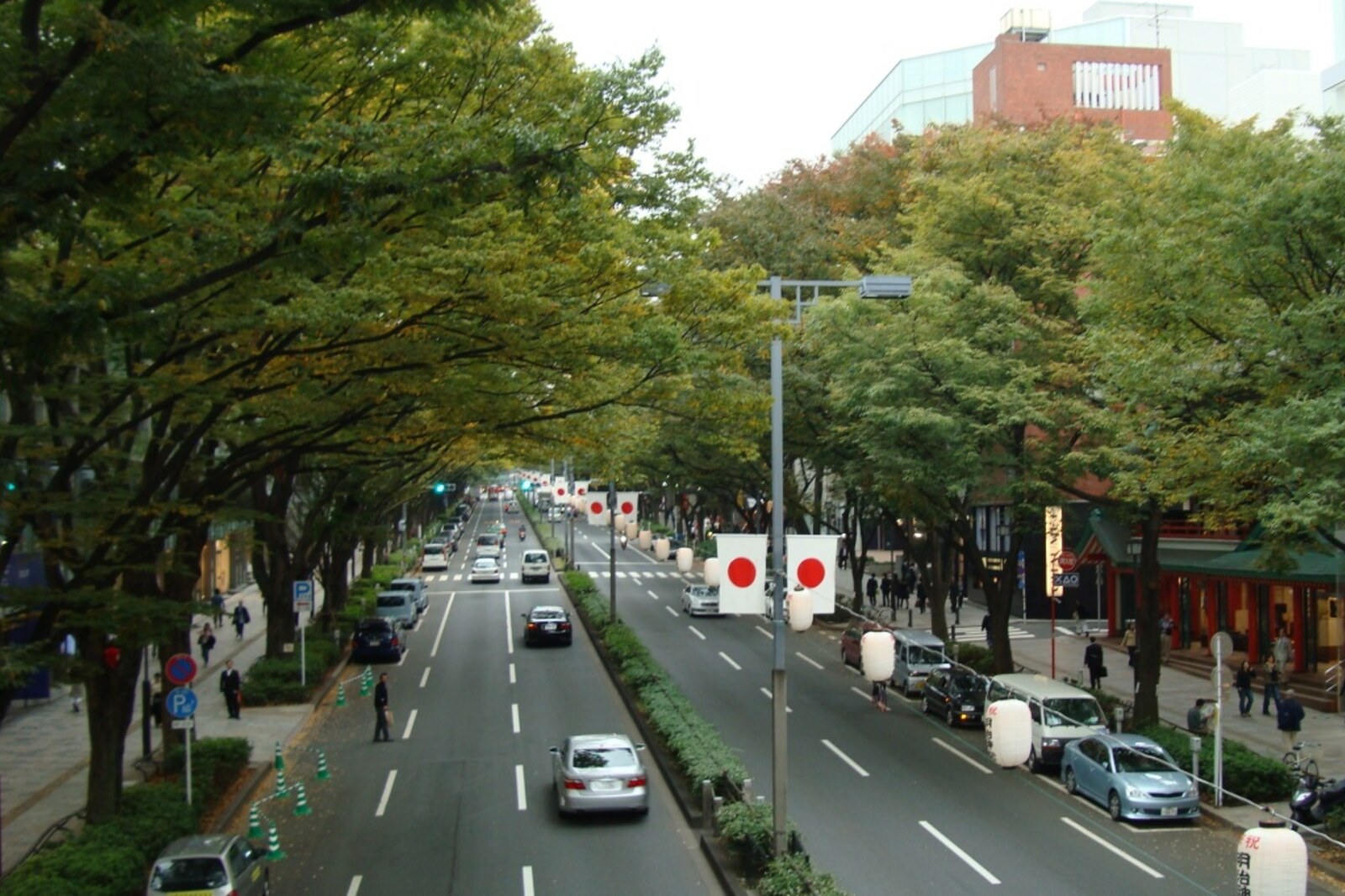 The wide Omotesando boulevard with zelkova trees and modern buildings