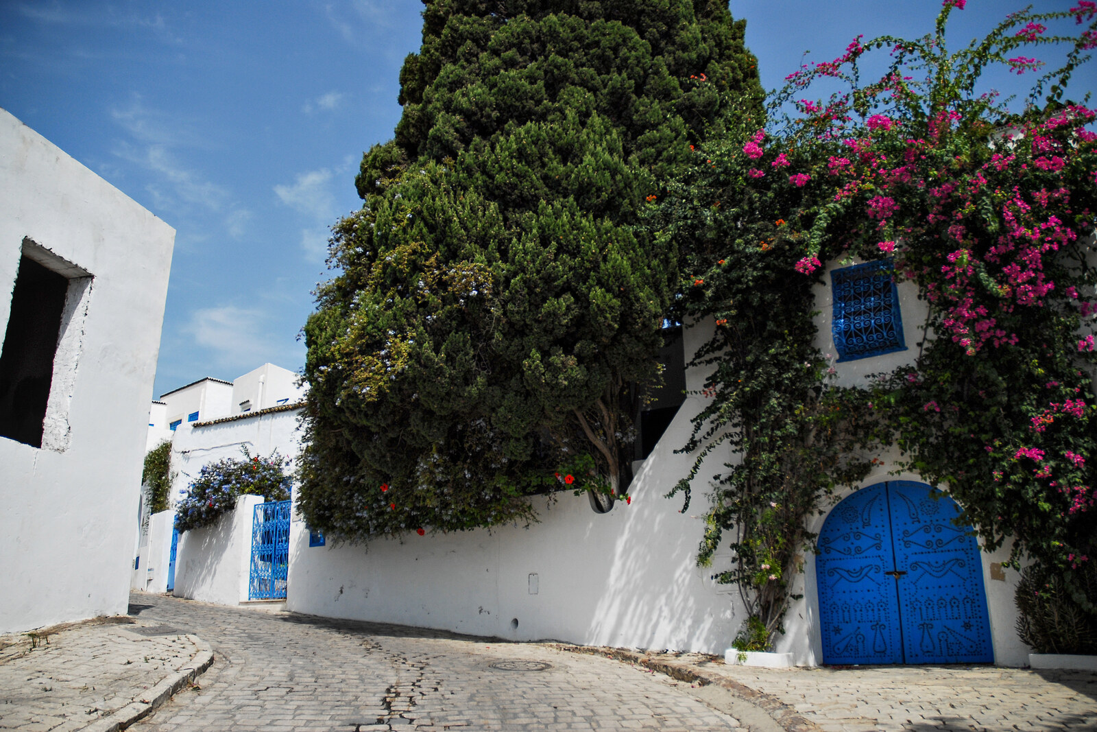 A white and blue street in Sidi Bou Said, rising up the hill toward the sea.