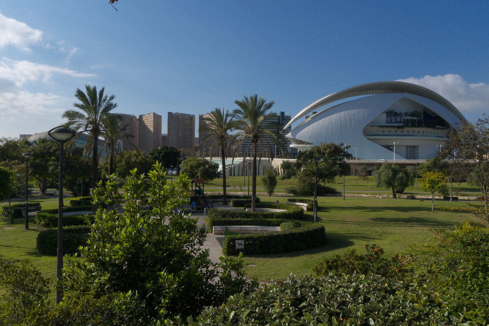 Green lawns and palm trees in Turia Garden