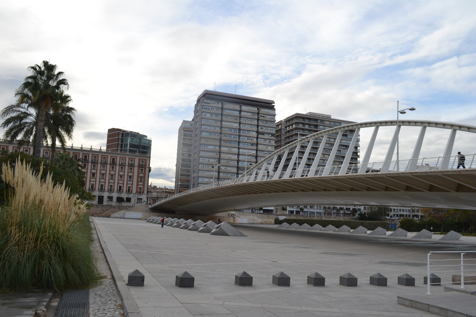 The white arch of Exposition Bridge above the park