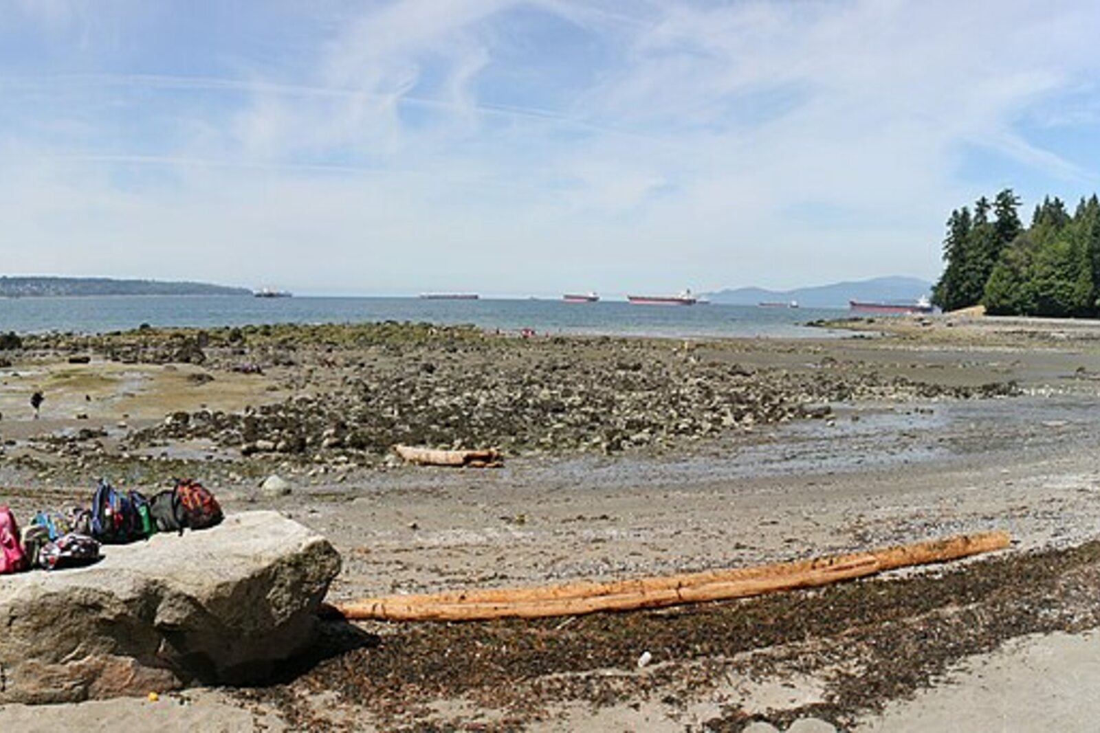 Waterfront at Second Beach in Stanley Park