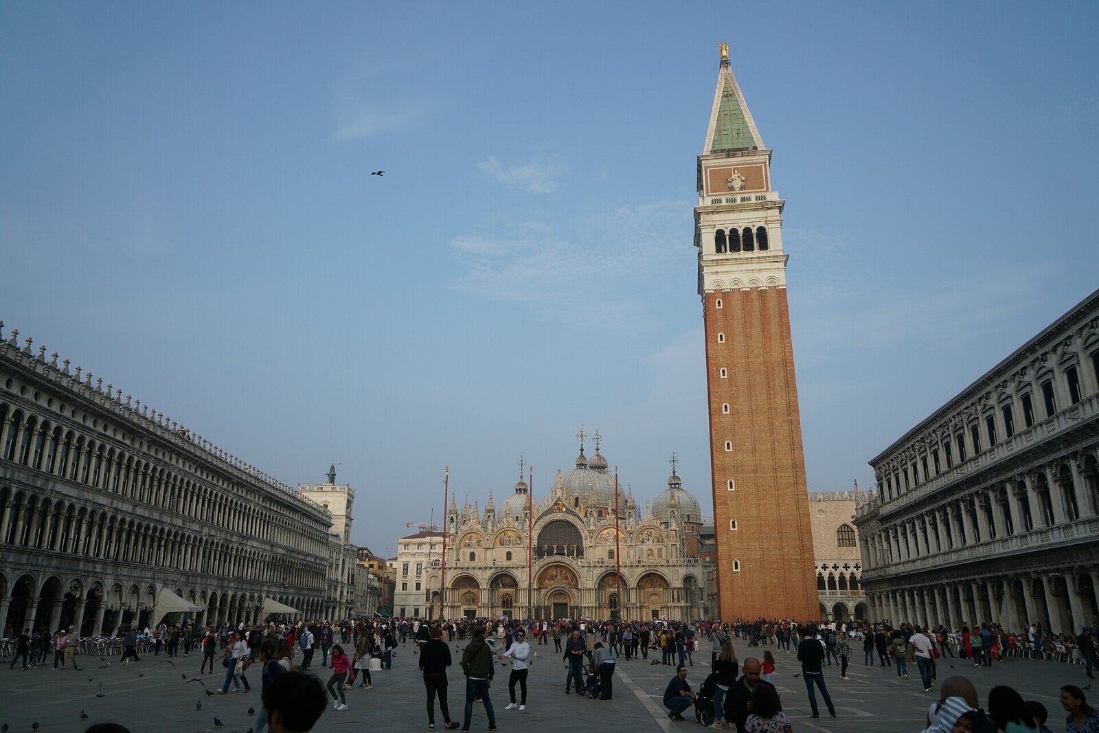 St Mark's Square 2019