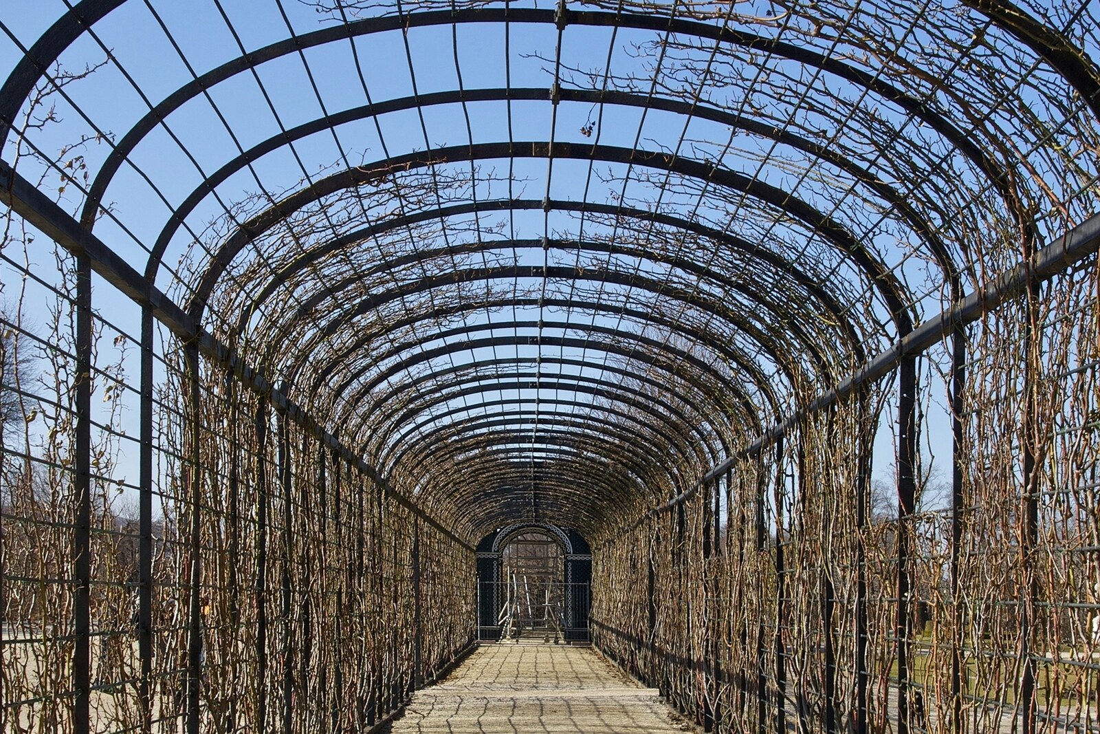 A long view between green espaliers in the Crown Prince Garden