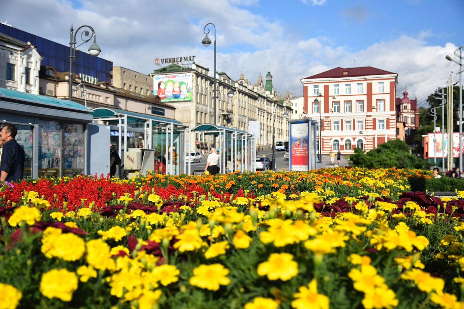 Flowerbeds and city facades by Vladivostok’s central square, without a close-up view of the monument.