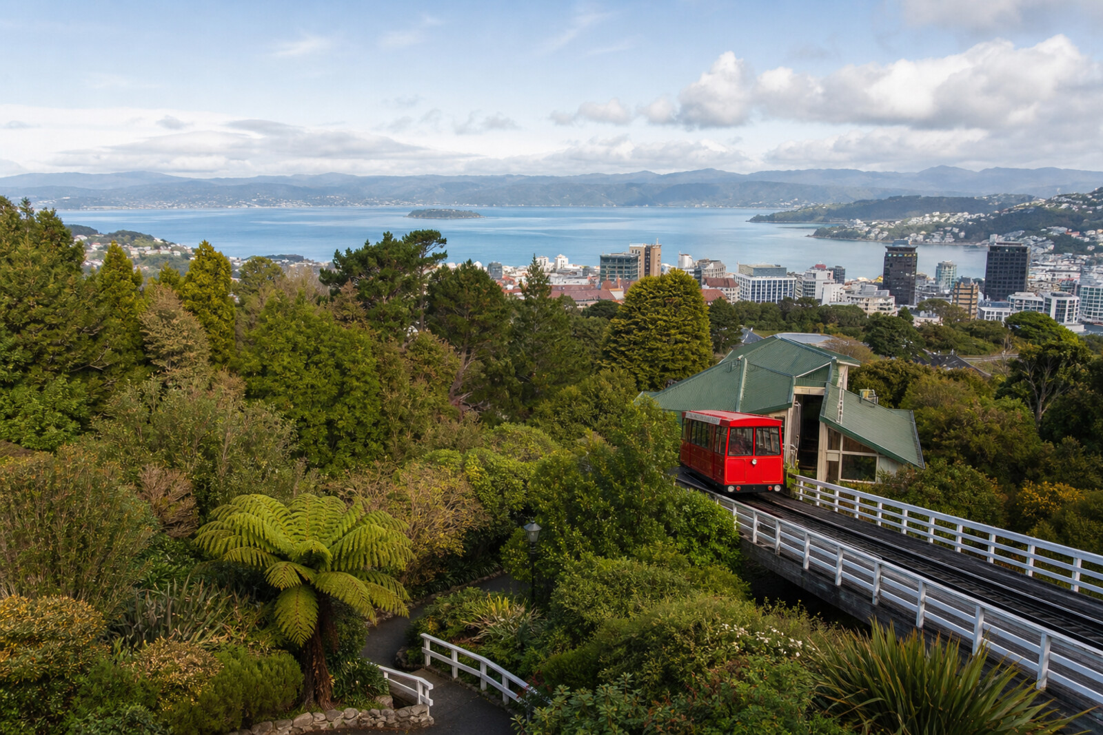 Generated editorial cover image for the “wellington-cable-car-botanic-garden-descent” route
