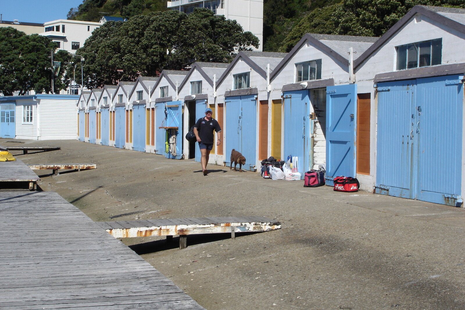 Wellington boat sheds on Oriental Parade waterfront.